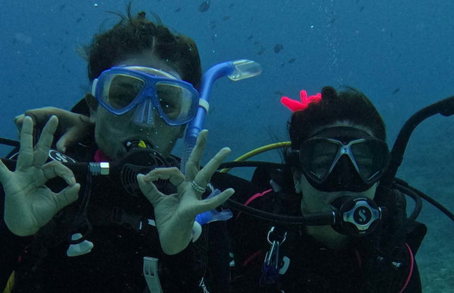 PADI Open Water Diving Course - Foto 1