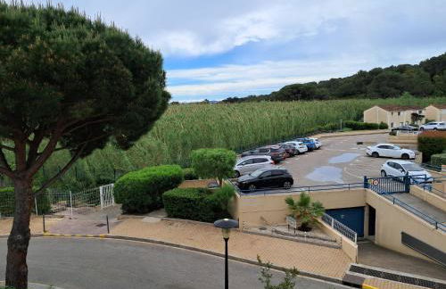 résidence azur 219 appartement T2 climatisé - Foto 10