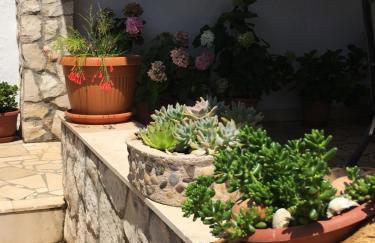 Apartmani Roxy - Foto 48