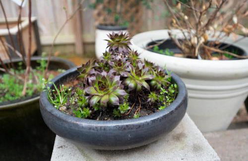 Tranquil Light-Filled Retreat 3BR Ranch - Photo 60