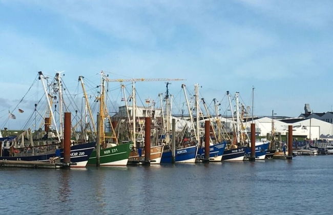 Holiday Home Strand-huus - Photo 17