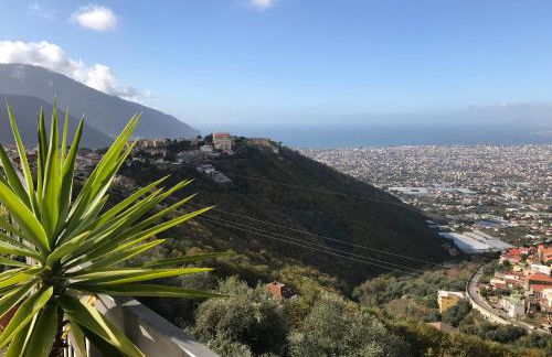 Or Son Sano - Foto 40