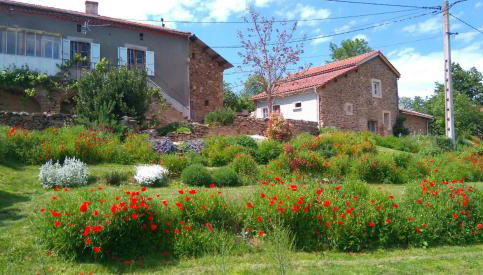 Le Poulailler - Foto 3