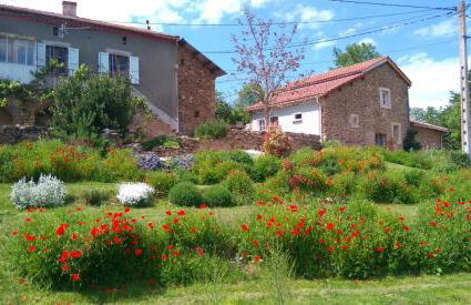 Le Poulailler - Foto 3