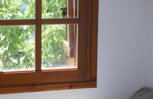 Kissos Experience - Foto 41