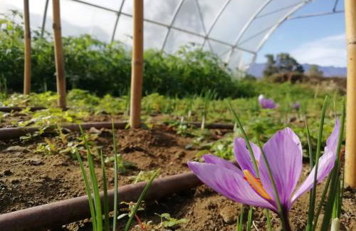 Cascina Borgofrancone - Foto 59