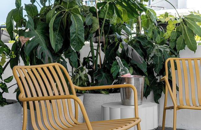 Mate Levinski - By HOMY - Foto 53