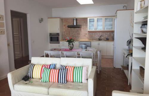 marazul del sur - Foto 4