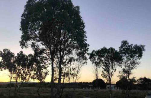 Peaceful Cottage House - Private Garden - Foto 31