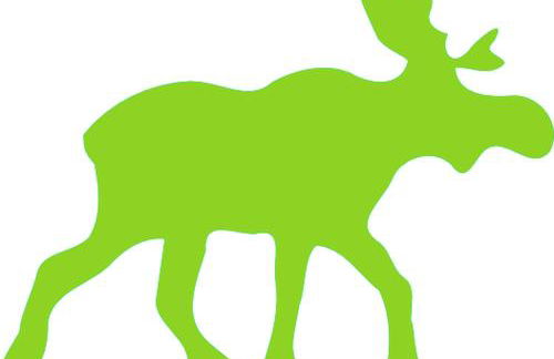 Ferienappartement Grüner Elch - Foto 24