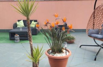 Apartamento Estela - Foto 9