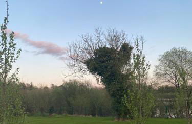 Killyfole lakeside lodges - Foto 33