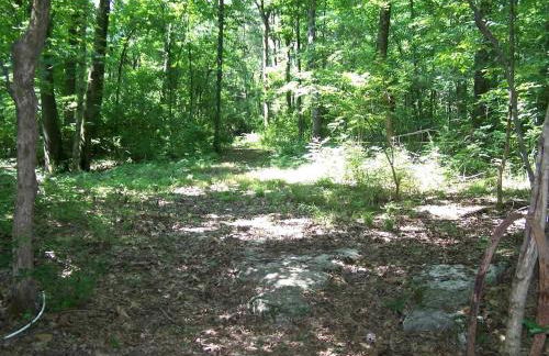 Secluded Watertree Tiny House near Old Hickory Lake – Private Deck, Trails & Breakfast - Foto 34