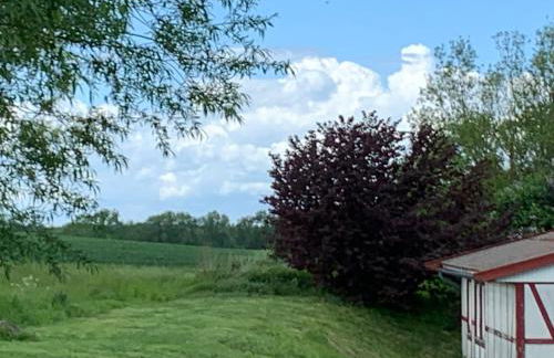 Ferienhäuser Wohlenberg - Baltic Cottages - Foto 7