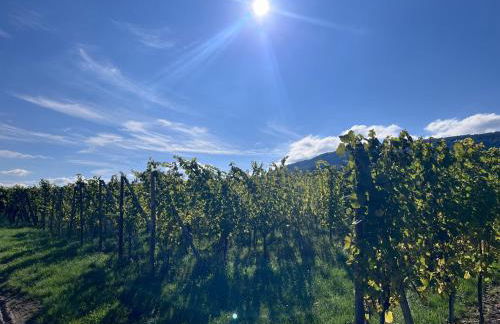 Le Clos Des Vignes - Charme au cœur du vignoble - Foto 21
