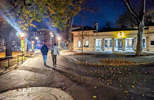 Luxury duplex in 1880s brownstone w private garden - Foto 19