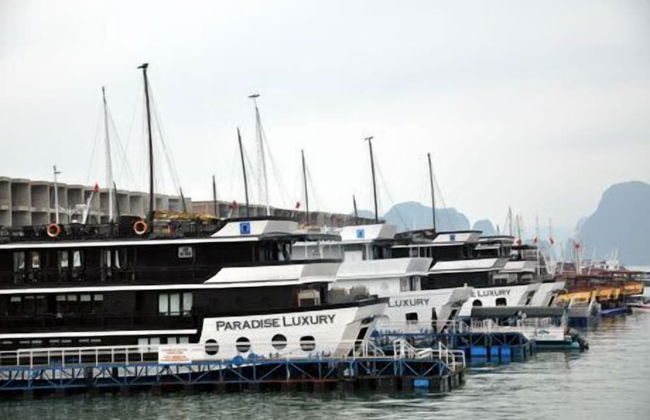 Seabreeze Ha Long Bay - Photo 66