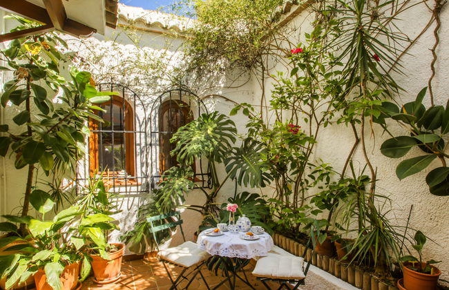 Mirlo Canta - Foto 5