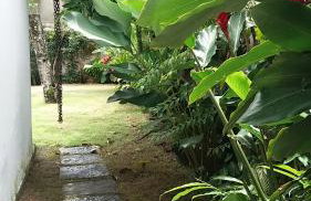 Casa Centro Historico - Photo 15