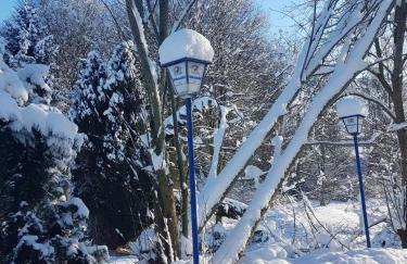 Borstel - Alte Schmiede - Foto 18