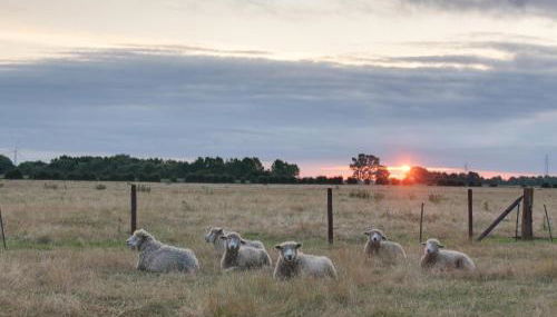Curlew Cottage - Foto 2