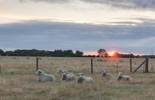 Curlew Cottage - Foto 2