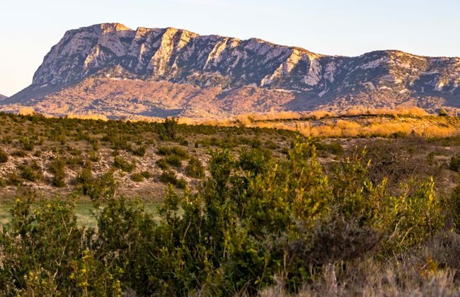 Pic Saint-Loup Excursion + Wine Tasting - Foto 1