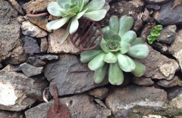 Casa Las Escaleritas - Foto 30