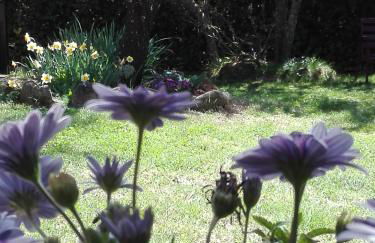 Naturaleza, Confort y Magnificas vistas a Sierra de Gata TR-CC-00490 - Foto 28