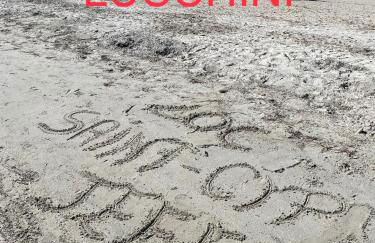 Chez Jeff Lucchini - Foto 13