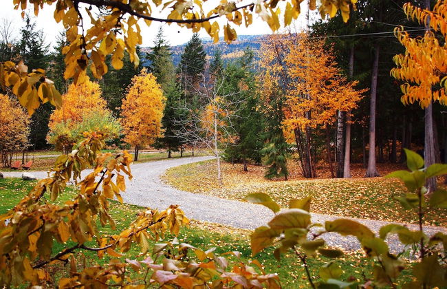 WING CREEK RESORT - Foto 16