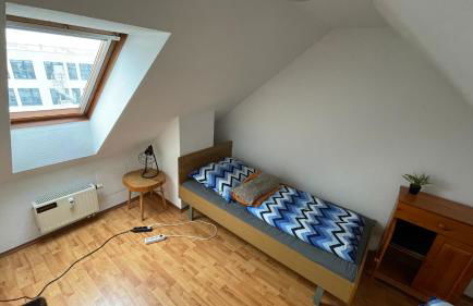 Großzügige Maisonette Wohnung über den Dächern Leipzigs - Foto 16