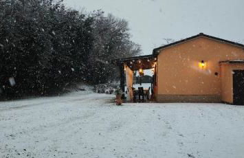 La Casa del Bosco - Foto 49