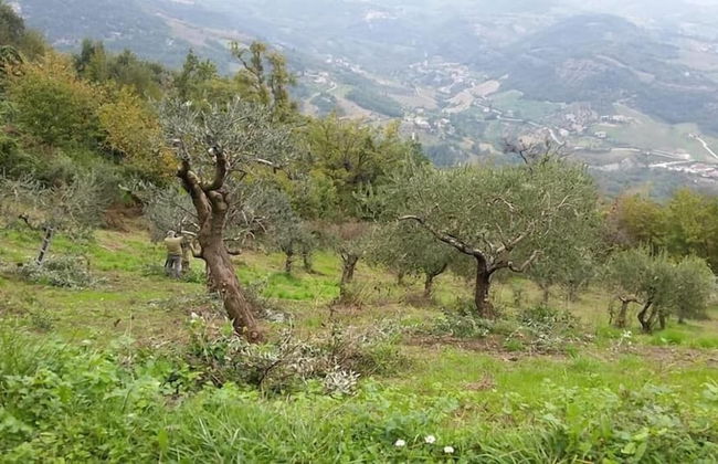 Agriturismo Lo Scoiattolo - Photo 32