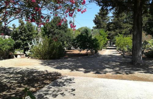 Villa Cenate - Foto 4