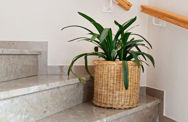 Cosy Apartment in Neustrassburg - Foto 24