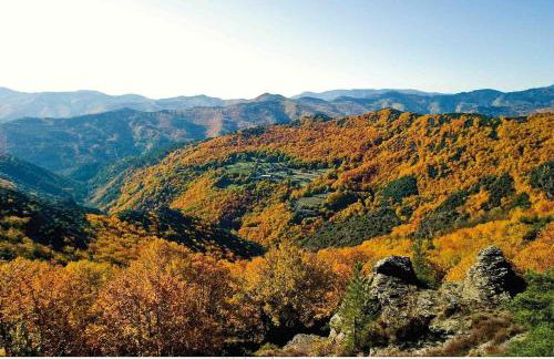 L'Orée Cévenole, SPA & Panorama d'Exception - Foto 21