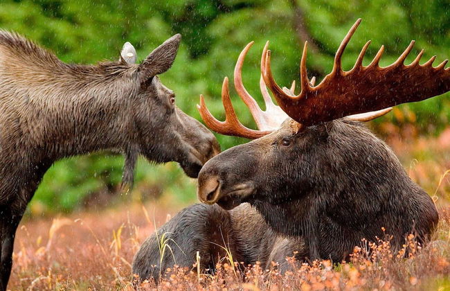 5 Person Holiday Home in Tegefjall - Foto 11