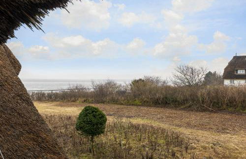 Kleines Nest (Wattküken) - Foto 11