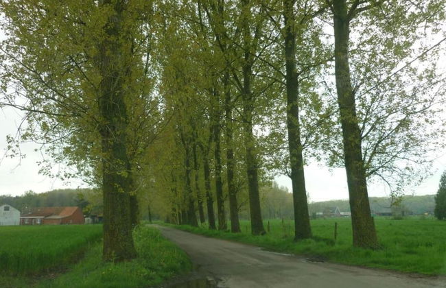 Family Home With Garden - Photo 34