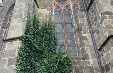 Gite Chez Manon et Pierre Salers - Foto 25