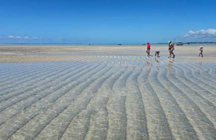 Casa Luxuosa em Maragogi - AL - Foto 27