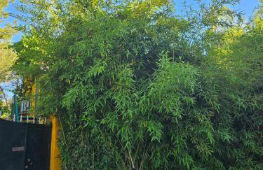 Finca rural Labriega del hueznar - Foto 70