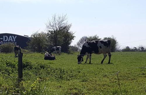 La Bocagère d' Henri - Photo 21