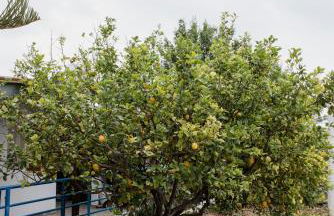 Minas Farm Cottage - Photo 7