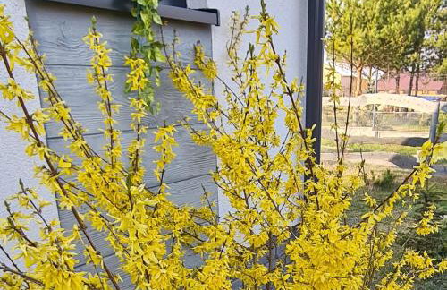 Domek Konrad - balia ogrodowa dodatkowo płatna - Foto 36