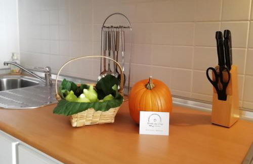 Moinho das Eiras - Foto 47