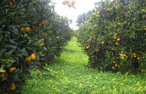 Agriturismo Badiula - Foto 63