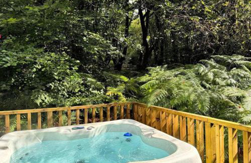 HiveAway - Hot Tub - Carmarthenshire - Pembrokeshire - Foto 2