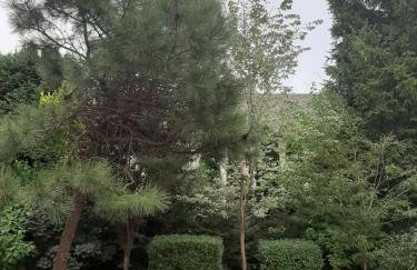 Podlaska Oaza - Dom całoroczny z sauną. - Foto 23